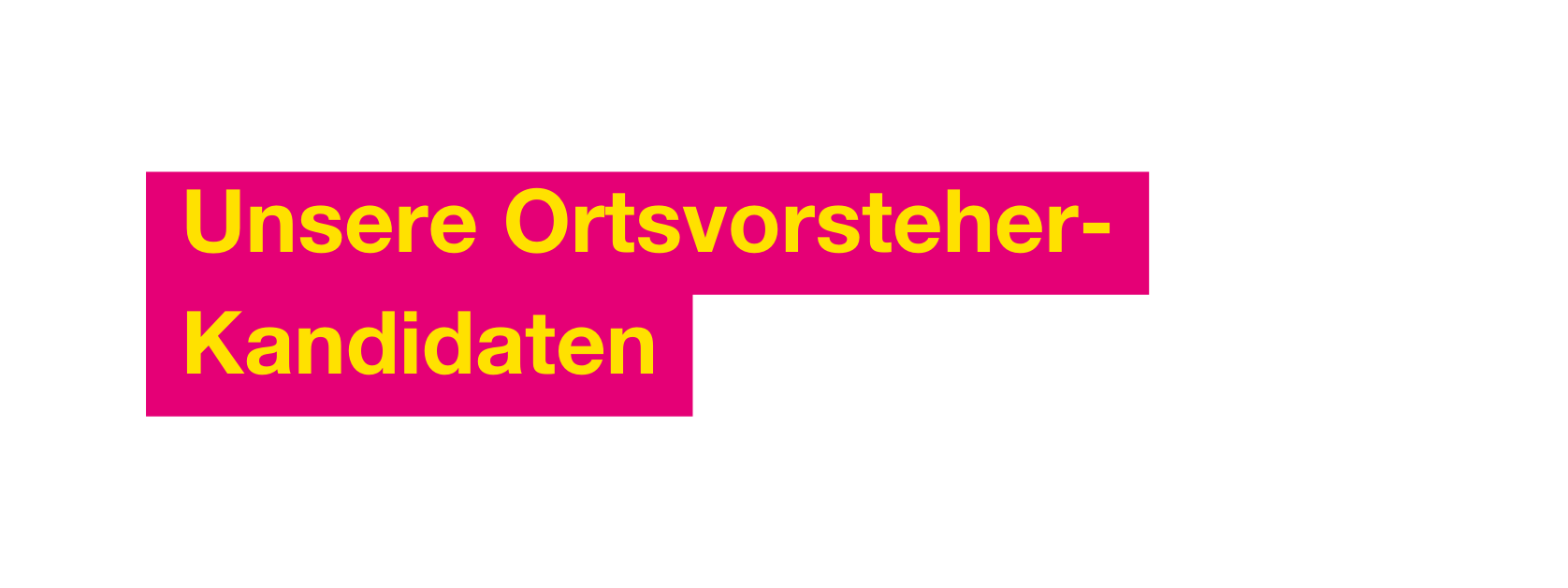 Unsere Ortsvorsteher Kandidaten