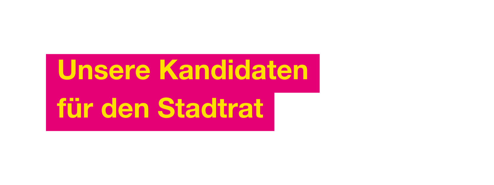 Unsere Kandidaten für den Stadtrat